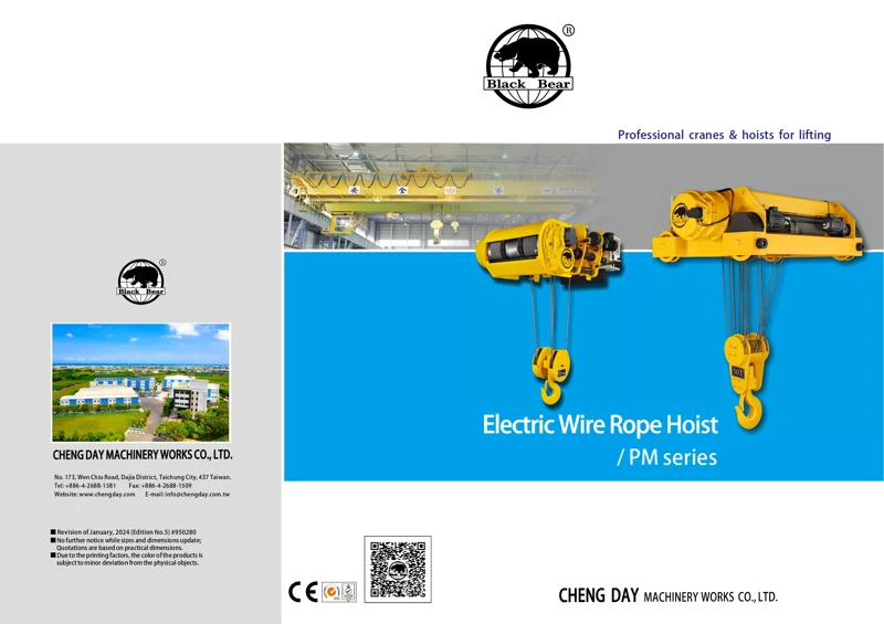 Electric Wire Rope Hoist-PM series